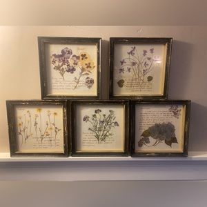 Botanical Floral Framed Pictures (5)